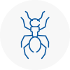 Ant Removals In Okehampton