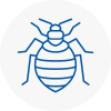 Bed Bug Extermination In Okehampton