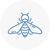 Bee Nest Removal Okehampton