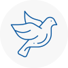 Bird Prevention Okehampton