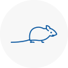 Mice Exterminators In Okehampton
