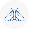 Moth Control Specialists In Okehampton