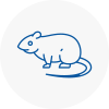 Rat Control Okehampton