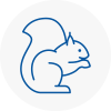 Okehampton Rodent Removals